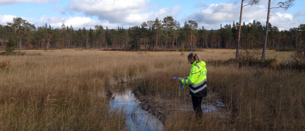 En geolog med SGU:tryck på jackan står i ett vattenområde i terräng under en kartläggning av grundvatten. En geolog med SGU:tryck på jackan står i ett vattenområde i terräng under en kartläggning av grundvatten.