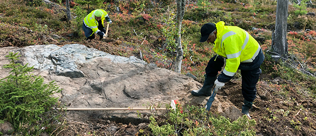 Bild på människor som arbetar i skogen.