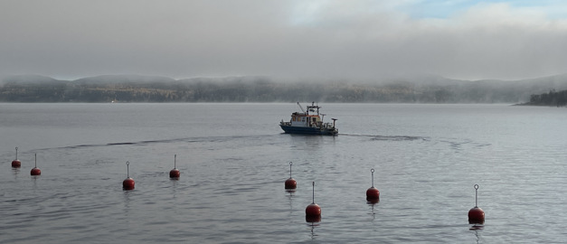Älv, båt, bojar och dimma.