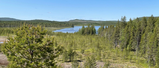 Bild från Adakfältet Bild från Adakfältet