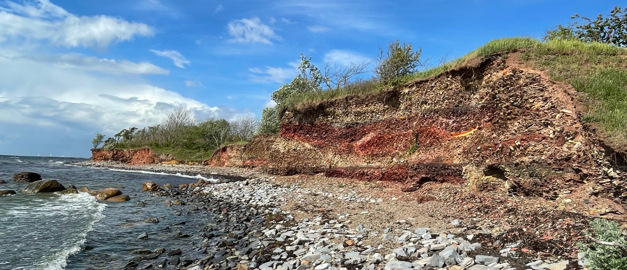 Strandlinje där rödfyren syns. Strandlinje där rödfyren syns.