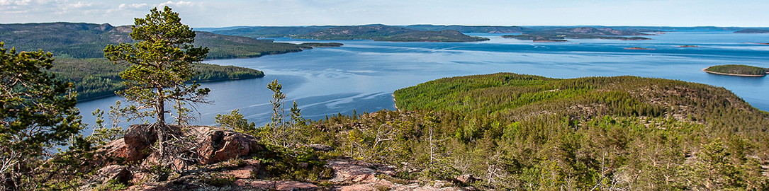 Utsikt från Mjältön. Höga kusten. Utsikt från Mjältön. Höga kusten.