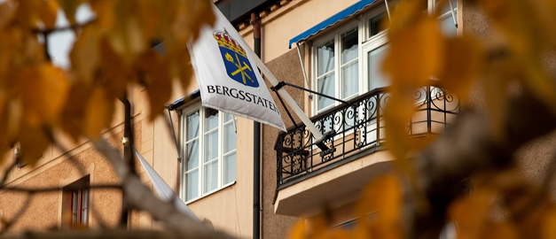 A flag with the Inspectorates logotype. Photo. A flag with the Inspectorates logotype. Photo.