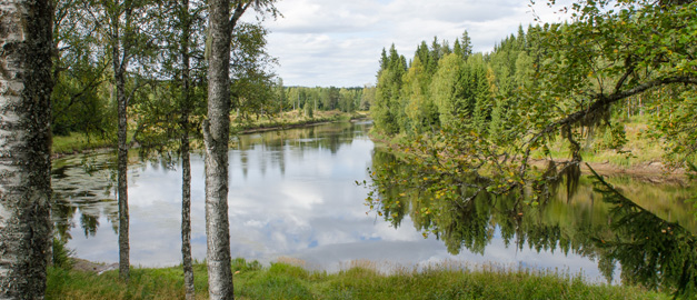 Västerdalälven slingrar sig i landskapet. Västerdalälven slingrar sig i landskapet.