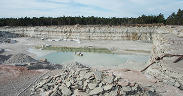 Täkt på Gotland