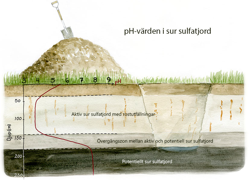 Bild.