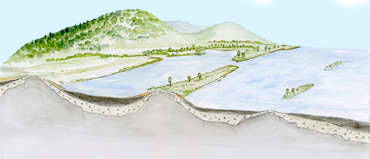 Schematisk bild över ett landskap där det finns sur sulfatjord. Illustration.