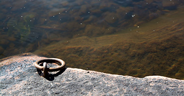 Ansökans innehåll.