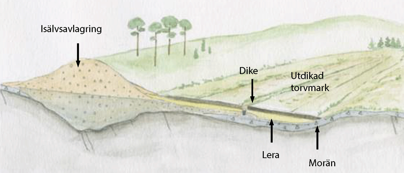 Utdikad-torv-intill-is&auml;lvsavlagring.gif