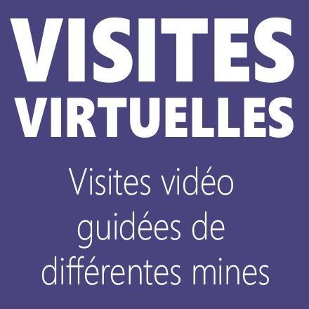 Virtuel-field-visits-FRA.png