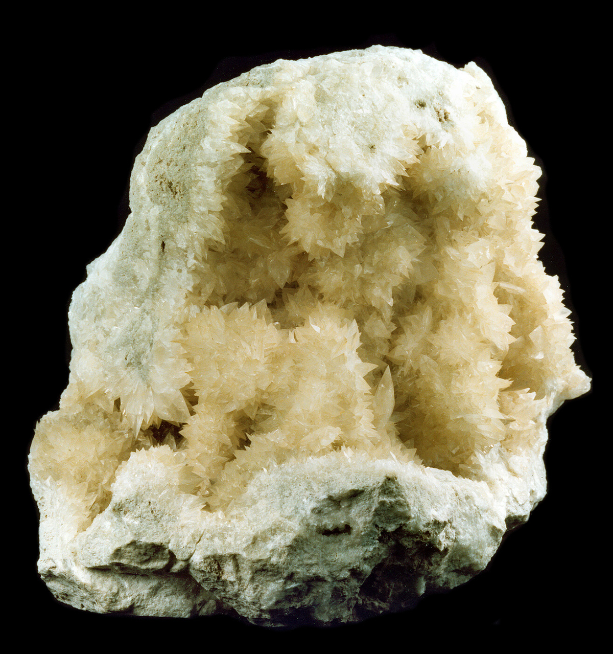Colemanit