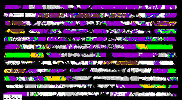 FigZ.png