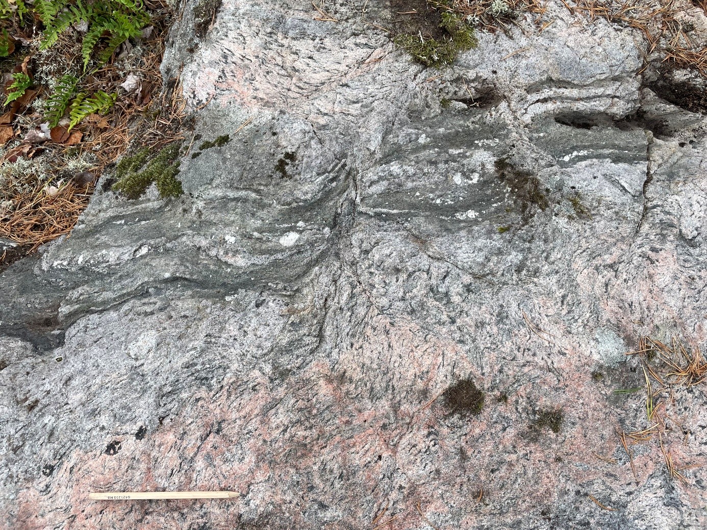 Biotit och Fluorapatit fr&aring;n Olstorp.jpg