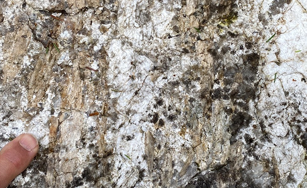 Spodumen (Litiumaluminiumsilikat) f&ouml;rande pegmatit fr&aring;n J&auml;rkvissleomr&aring;det (N 6968408, E 583503), Foto Martiya Sadeghi, SGU.png