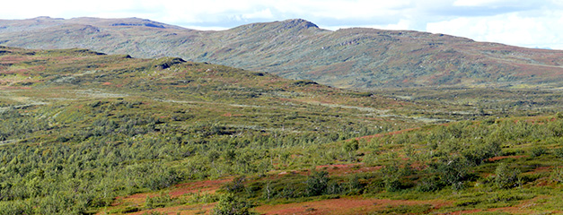 Natur och berg i området runt Umnäs. Foto. Natur och berg i området runt Umnäs. Foto.