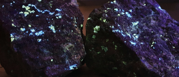 Bilden visar ett  rikt mineraliserat skarnprov från Wigströmsgruvan. Provet är belyst med kortvågigt UV-ljus och visar fluorescens av scheelit.