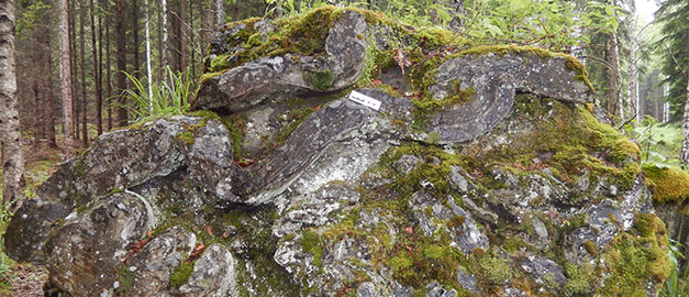 Block i veckat skarn norr om Ludvika. Block i veckat skarn norr om Ludvika.