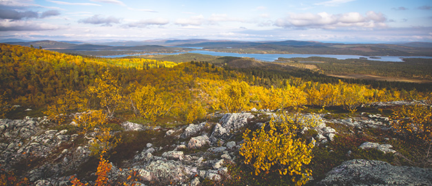 Vy i Norrbotten Vy i Norrbotten