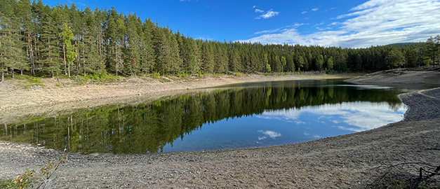 Bild på Gröntjärn.