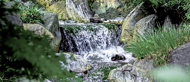 Image of a waterflow. Image of a waterflow.