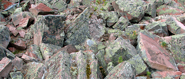 Dalasandsten. Dalasandsten.