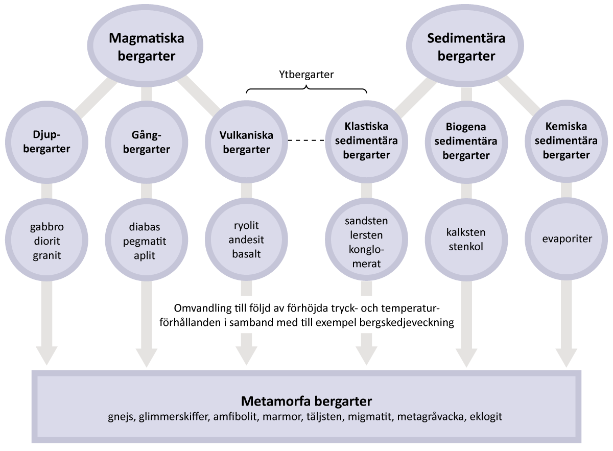 Bergartsschema.