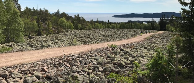 Klappervallar_H&ouml;gklinten_627x270.JPG