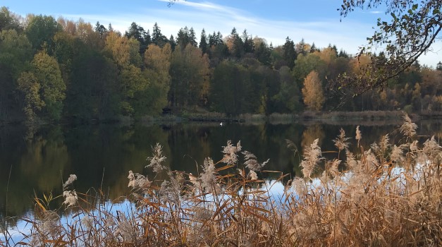 Vatten. Foto.