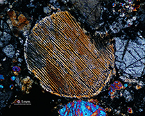 Meteorit i polarisationsmikroskop.