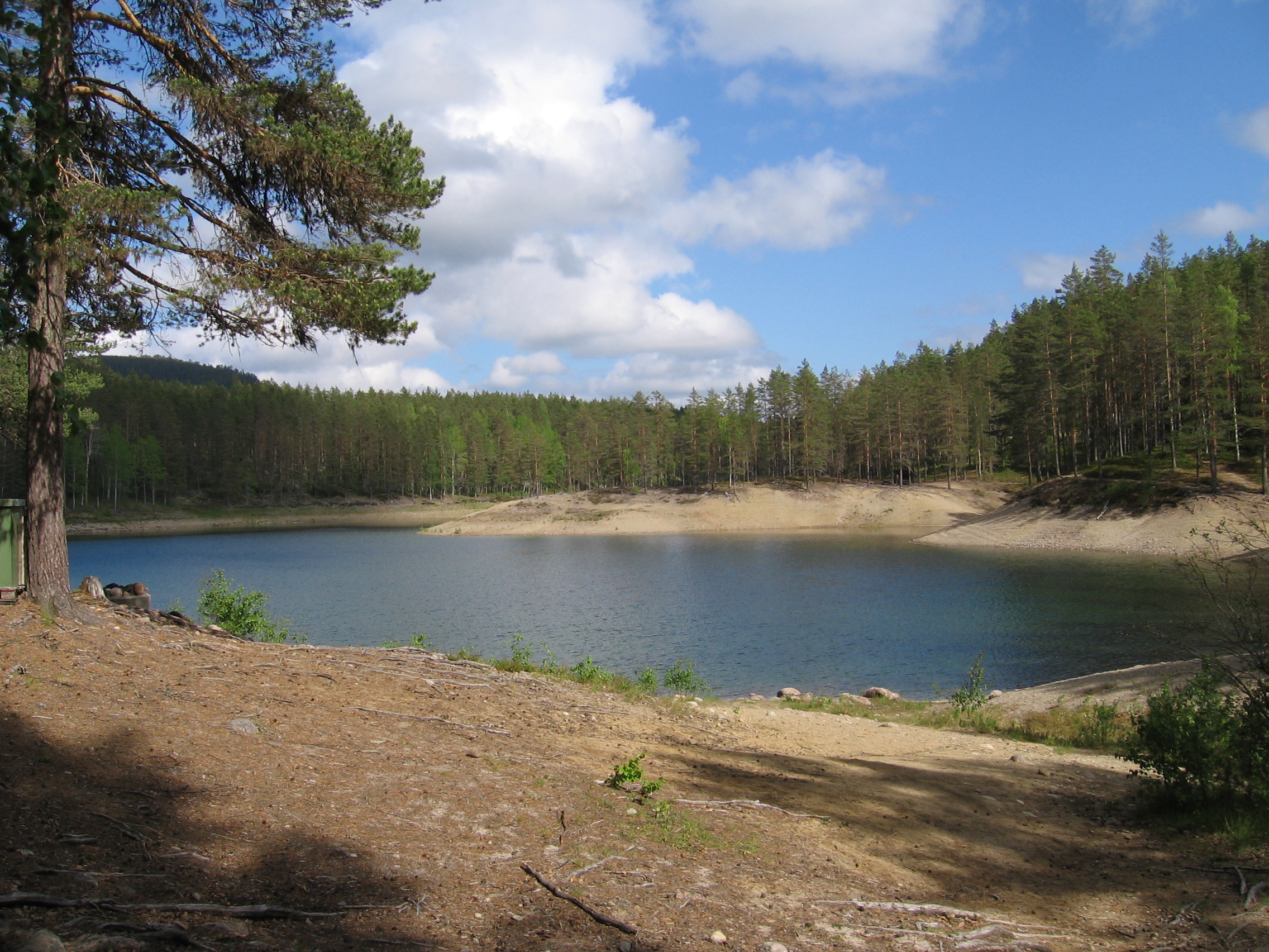 Foto på Gröntjärn med högt grundvattenstånd.