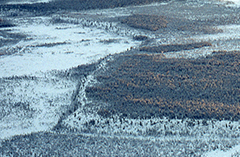 Berg. Foto.