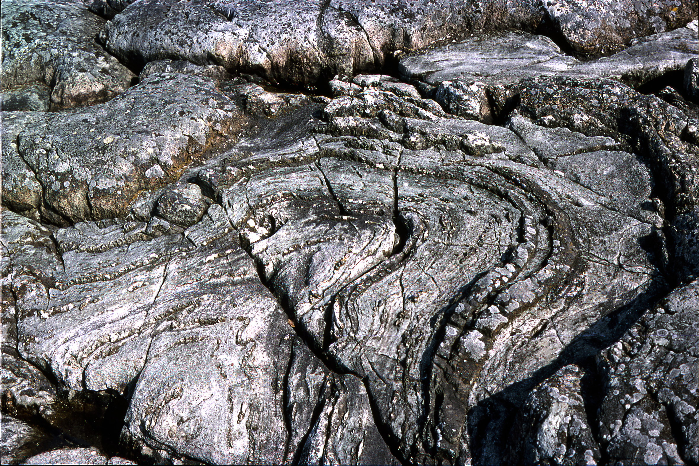 Veckad marmor med inlagrad vulkanaska. Foto: Per Nysten, SGU.