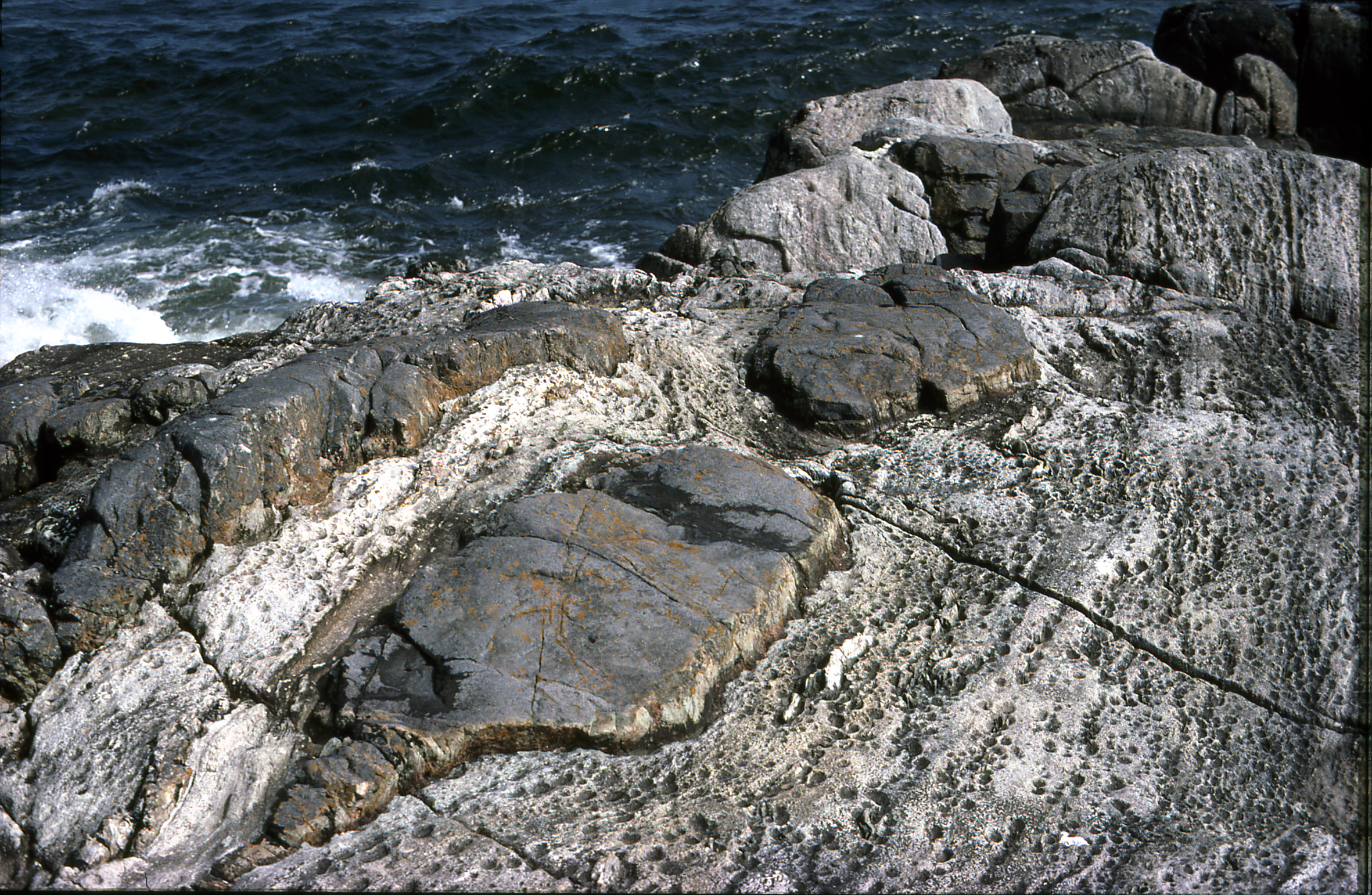 Utdragna och avslitna (boudinerade) m&ouml;rka diabasg&aring;ngar i &quot;mjukare&quot; skikt av marmor. Foto: Per Nysten, SGU.
