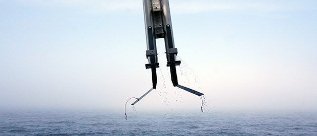 Foto på en provtagare som kommer upp från havet.