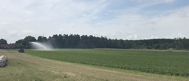 Ett foto på bevattning av jordbruksmark. Ett foto på bevattning av jordbruksmark.