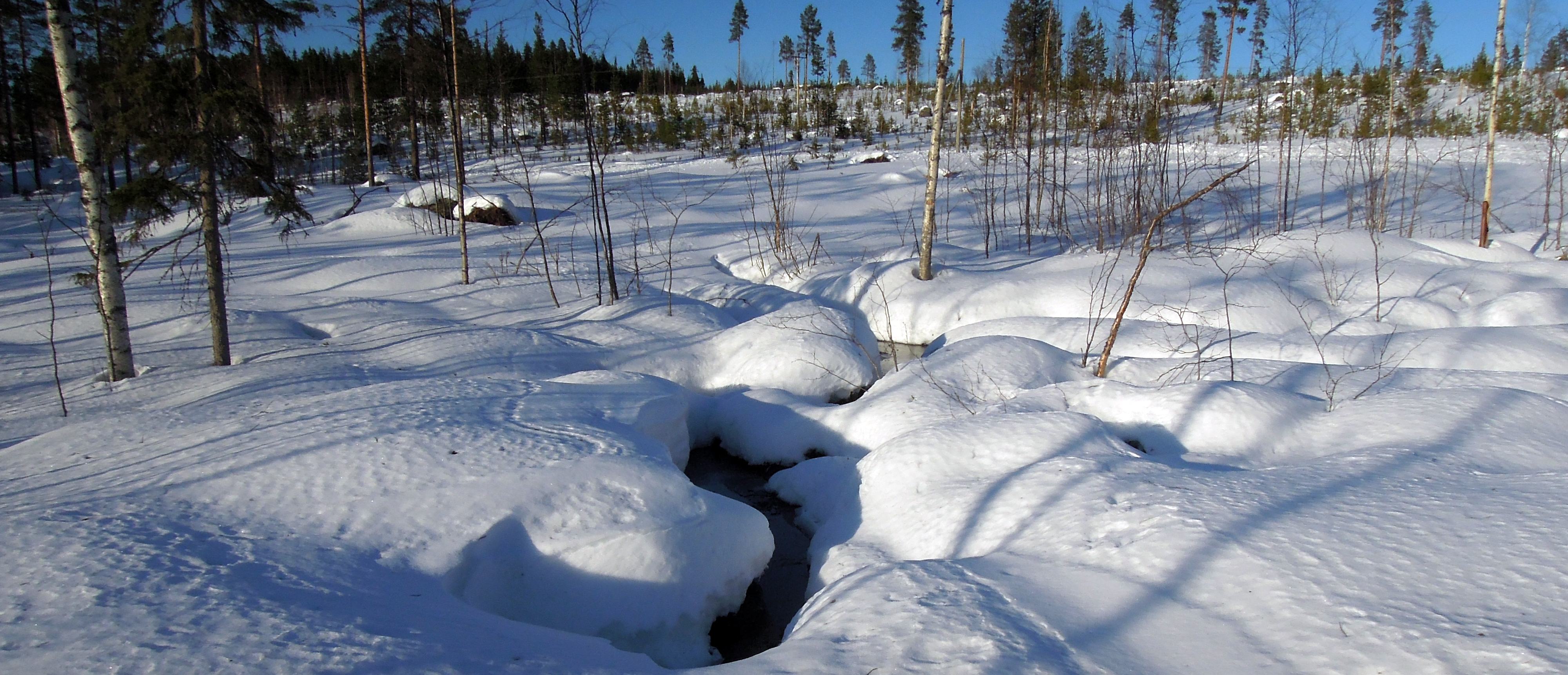 Bilden visar Källan Lappträsket (Pålkem), Norriån. Bilden visar Källan Lappträsket (Pålkem), Norriån.