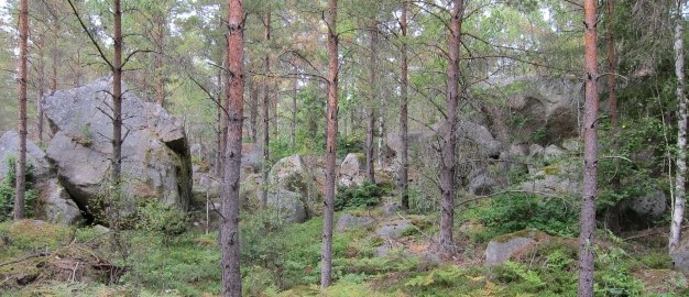 Stora block med stenar i en skog. Foto. Stora block med stenar i en skog. Foto.