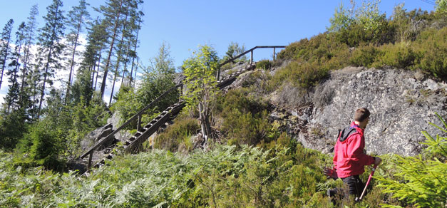 Undersökningar i Ludvikatrakten Undersökningar i Ludvikatrakten