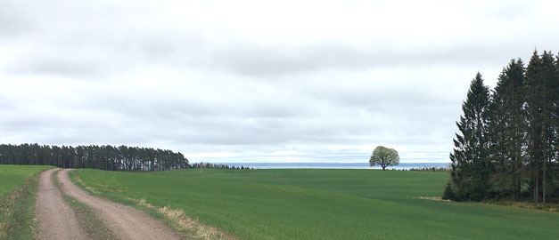 TEM Västegötland, foto över Munkeberg.