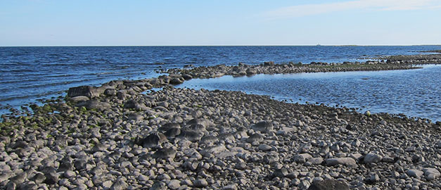 Bild på en ås vid vatten. Bild på en ås vid vatten.
