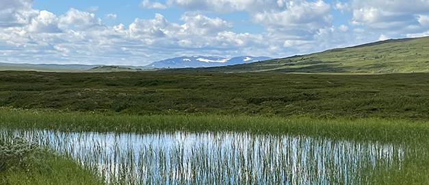 Foto på en våtmark med berg i bakgrunden. Foto på en våtmark med berg i bakgrunden.