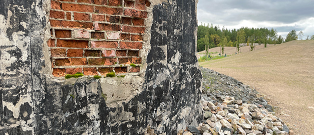 Bild på riven byggnad och träd.