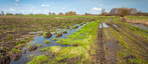 Regnat på ett fält.