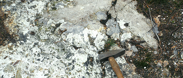 Bild på spodumenkristaller.