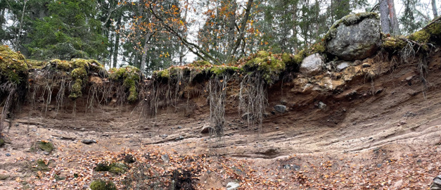 Isälvsavlagring i genomskärning. 