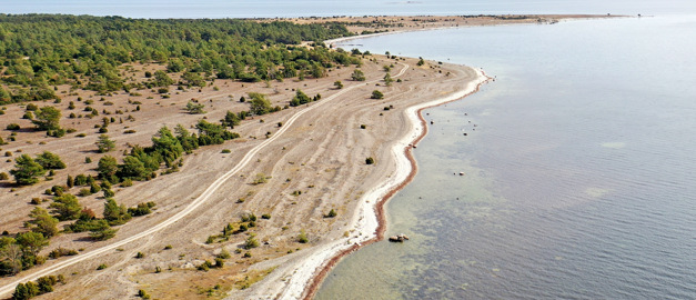 Bild som visar en kustlinje sett snett ovanifrån med tydliga sandbanker och växtlighet i bildens vänstra sida och vatten till höger.