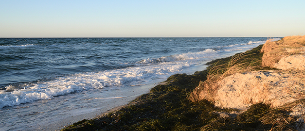 Eroderande strandkant vid Måkläppens naturreservat i Skåne Eroderande strandkant vid Måkläppens naturreservat i Skåne