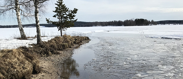 Öppet vatten i strandkanten till sjön Lingan, vilket tyder på utströmmande grundvatten då isen i övrigt ligger tjock på sjön. Öppet vatten i strandkanten till sjön Lingan, vilket tyder på utströmmande grundvatten då isen i övrigt ligger tjock på sjön.