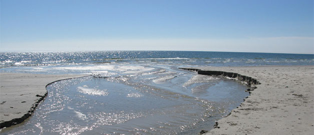 En sandstrand vid Östersjön En sandstrand vid Östersjön