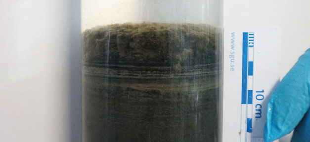 Sediment core. Photo. Sediment core. Photo.